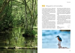 Galeria - zdjęcie nr. 3 - Bucket list Kaszuby i Bory Tucholskie. 100 nieoczywistych miejsc i doświadczeń