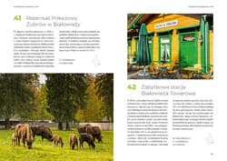 Galeria - zdjęcie nr. 4 - Bucket list Podlasie i Suwalszczyzna. 150 nieoczywistych miejsc