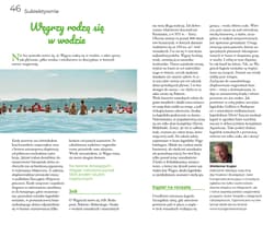 Galeria - zdjęcie nr. 3 - Budapeszt i Węgry. Pascal Lajt