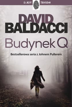 Budynek Q - ebook