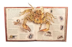 Galeria - zdjęcie nr. 2 - Bugs A Pop-up Journey into the World of Insects, Spiders and Creepy-crawlies wer. angielska