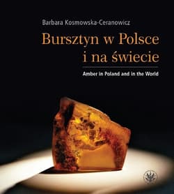 Bursztyn w Polsce i na świecie Amber in Poland and in the World