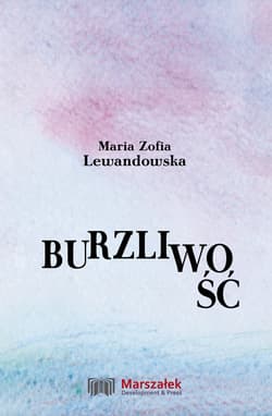 Burzliwość