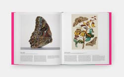 Galeria - zdjęcie nr. 4 - Butterfly. Exploring the World of Lepidoptera