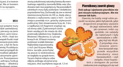 Galeria - zdjęcie nr. 2 - Bydgoszcz i Toruń map&guide PL laminat 2023