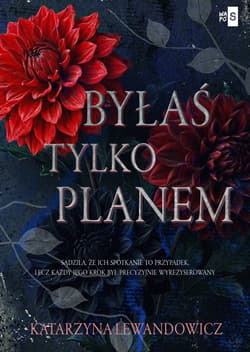 Byłaś tylko planem - Katarzyna Lewandowicz
