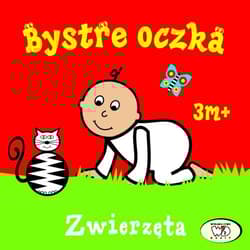 Bystre oczka Zwierzęta