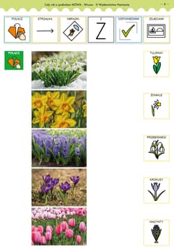 Galeria - zdjęcie nr. 4 - Cały rok z symbolami MÓWik Wiosna Materiały dla uczniów z niepełnosprawnością intelektualną