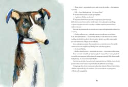 Galeria - zdjęcie nr. 2 - Cały świat Anni