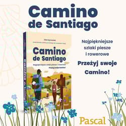 Camino de Santiago. Najpiękniejsze szlaki piesze i rowerowe - Eliza Szymaniak