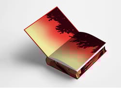 Galeria - zdjęcie nr. 2 - Carrie (ilustrowane brzegi)