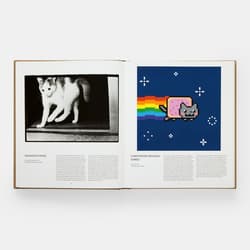 Galeria - zdjęcie nr. 2 - Cat