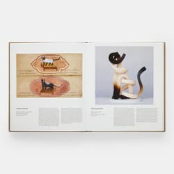 Galeria - zdjęcie nr. 4 - Cat