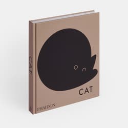 Galeria - zdjęcie nr. 5 - Cat