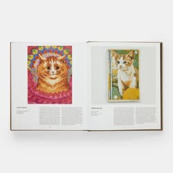 Galeria - zdjęcie nr. 2 - Cat