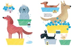 Galeria - zdjęcie nr. 3 - Cats and Dogs. Fingerprint activities wer. angielska