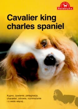 Cavalier king charles spaniel - Opracowanie Zbiorowe
