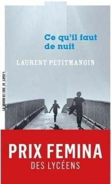 Ce qu'il faut de nuit - Petitmangin Laurent