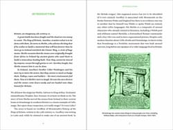 Galeria - zdjęcie nr. 2 - Celtic Magic