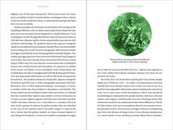 Galeria - zdjęcie nr. 5 - Celtic Magic
