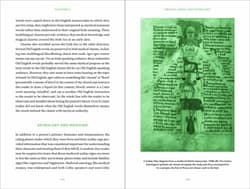 Galeria - zdjęcie nr. 4 - Celtic Magic
