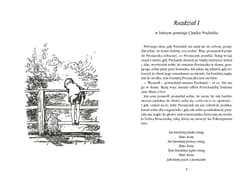 Galeria - zdjęcie nr. 5 - Chatka Puchatka