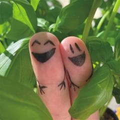 Chewing gums - Żaneta Gorzka