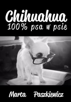 Chihuahua 100% psa w psie