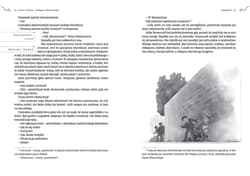 Galeria - zdjęcie nr. 2 - Chłopcy z Placu Broni wyd. 2025