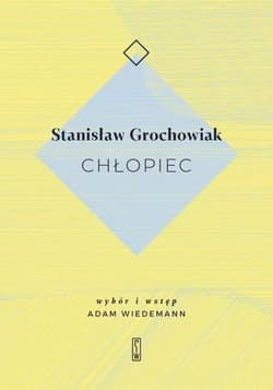 Chłopiec - Stanisław Grochowiak