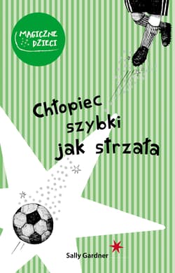 Chłopiec szybki jak strzała - Sally Gardner