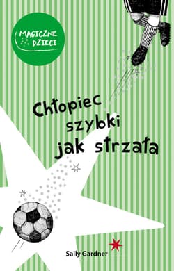 Chłopiec szybki jak strzała_plik - ebook - Sally Gardner