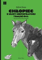 Chłopiec z ulicy Niepoprawnej i kucyki dwa - Sylwia  Stano