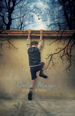 Chłopiec ze śniegu - ebook - Chloe Mayer