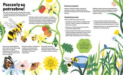 Galeria - zdjęcie nr. 3 - Chodź na dwór! Praktyczne ćwiczenia z przyrody