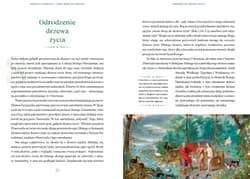 Galeria - zdjęcie nr. 3 - Choinka 2000 lat tradycji Bożego Narodzenia