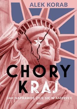 Chory (k)raj. Jak naprawdę żyje się w Ameryce - ebook