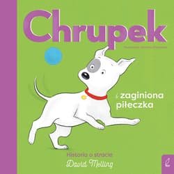 Chrupek i zaginiona piłeczka - David Melling