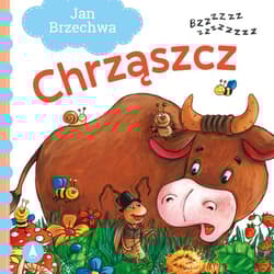 Chrząszcz - Jan  Brzechwa, Agata Nowak