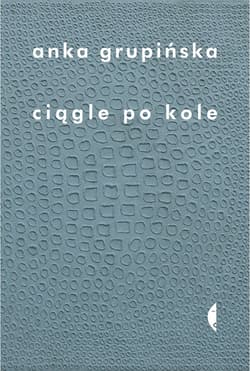Ciągle po kole. Rozmowy z żołnierzami getta warszawskiego - ebook - Anka Grupińska