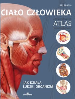 Ciało człowieka. Atlas. Jak działa ludzki organizm - Ken Ashwell