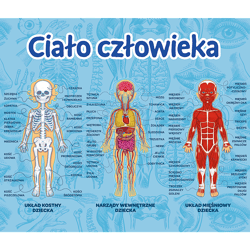 Galeria - zdjęcie nr. 3 - Ciało człowieka Gra edukacyjna