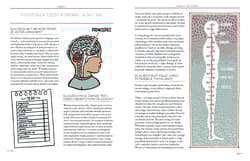 Galeria - zdjęcie nr. 2 - Ciało Ty i miliardy twoich mieszkańców