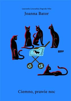 Ciemno, prawie noc - Joanna Bator