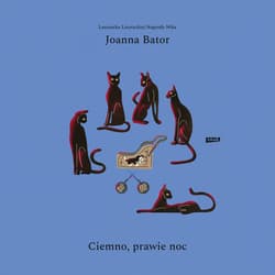 Ciemno, prawie noc - audiobook - Joanna Bator