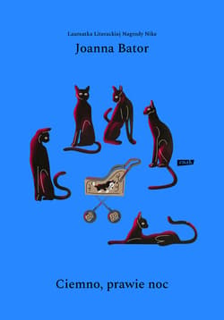 Ciemno, prawie noc - ebook - Joanna Bator