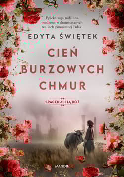 Cień burzowych chmur - Edyta Świętek