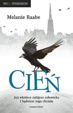 Cień - ebook
