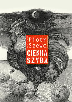 Cienka szyba - ebook - Piotr Szewc