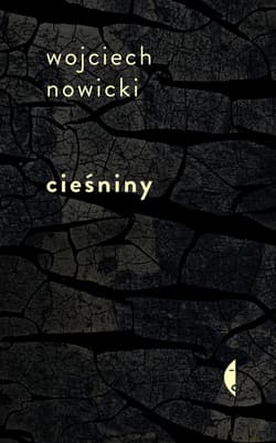 Cieśniny - ebook - Wojciech Nowicki